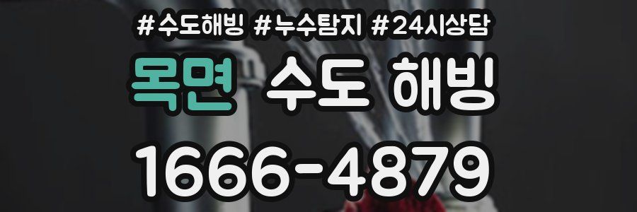 목면 수도 해빙