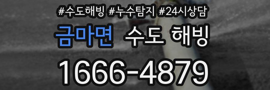 금마면 수도 해빙