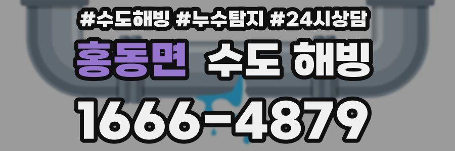 홍동면 수도 해빙