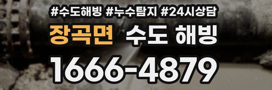 장곡면 수도 해빙