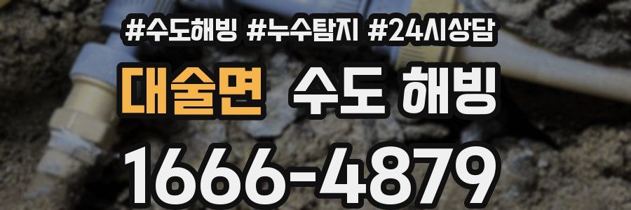 대술면 수도 해빙