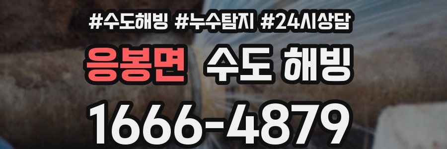 응봉면 수도 해빙