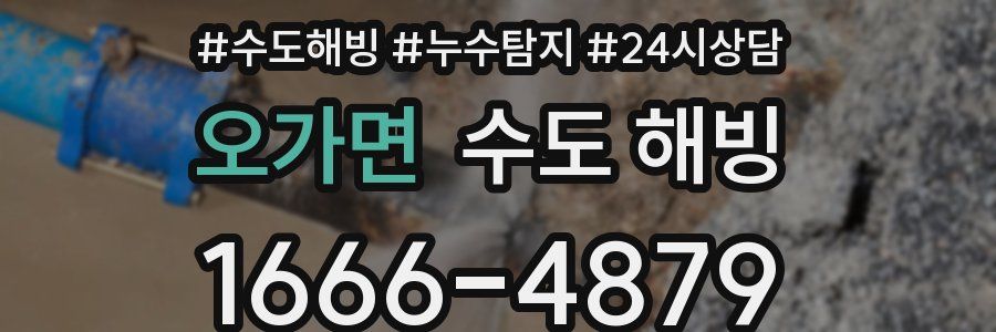 오가면 수도 해빙