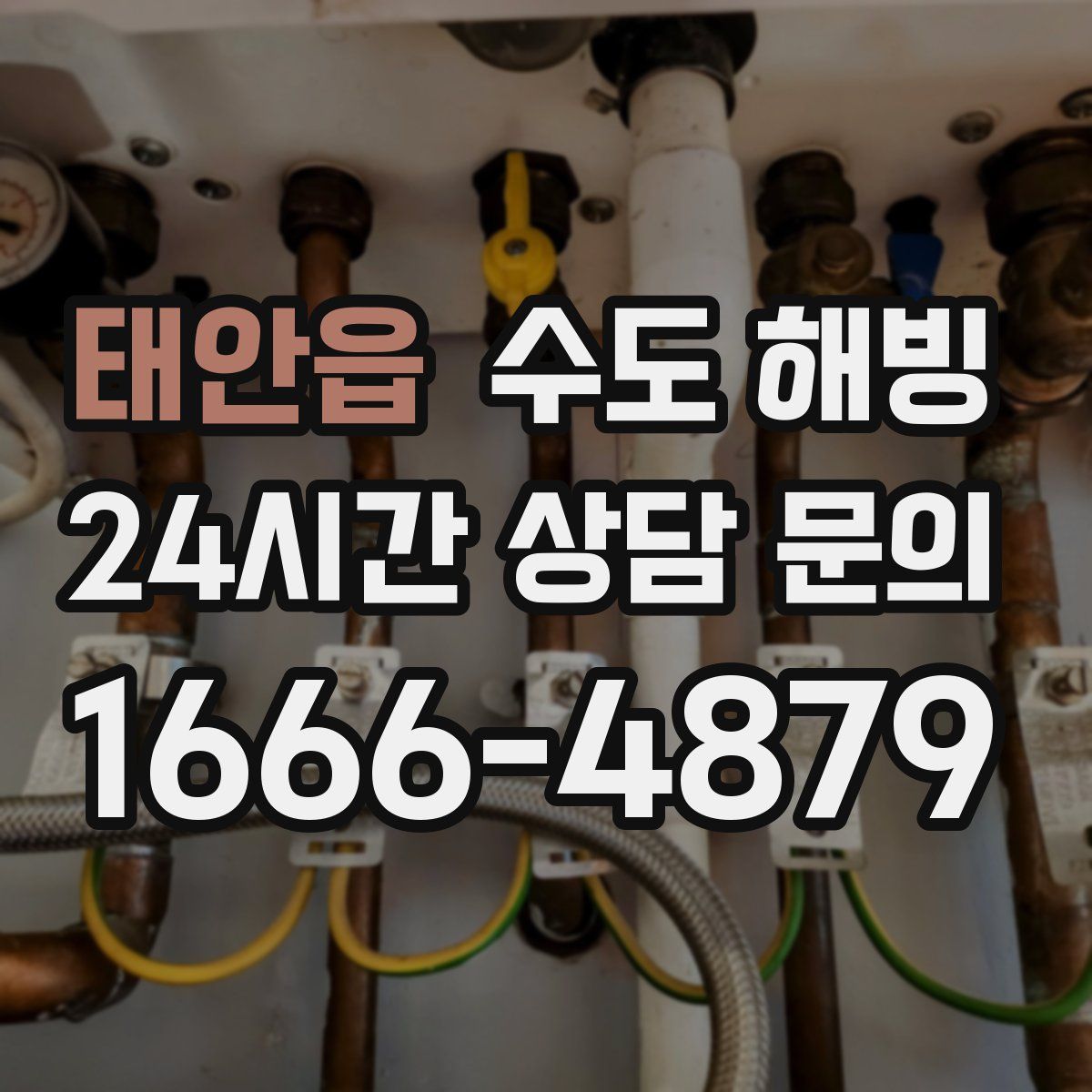 태안읍 수도 해빙