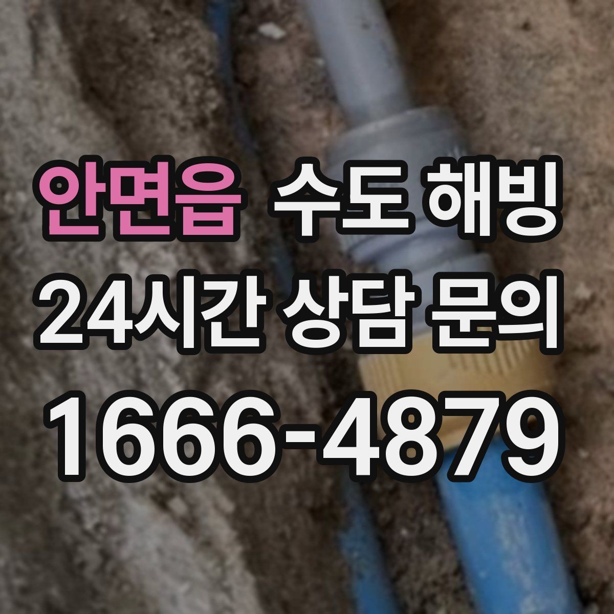 안면읍 수도 해빙 두 곳 이상 동시에 얼었을 때 확인 순서