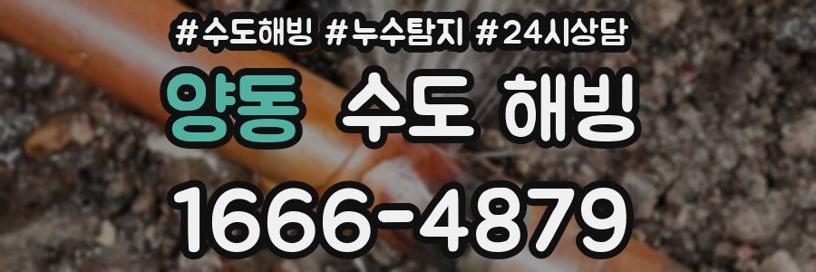 양동 수도 해빙