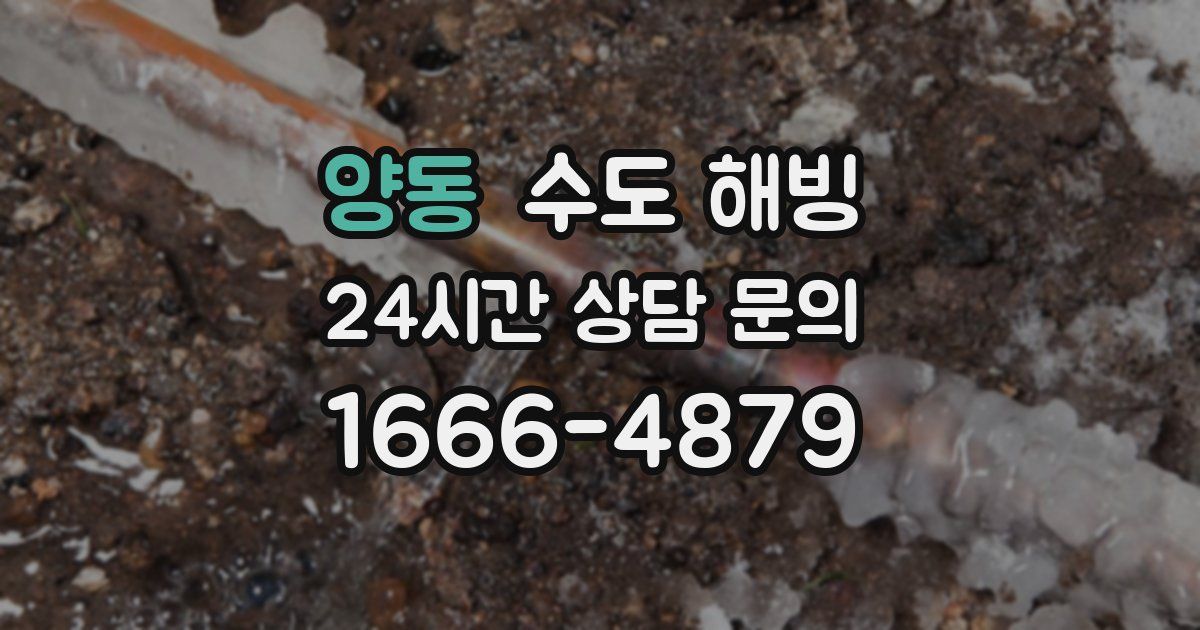 양동 수도 해빙