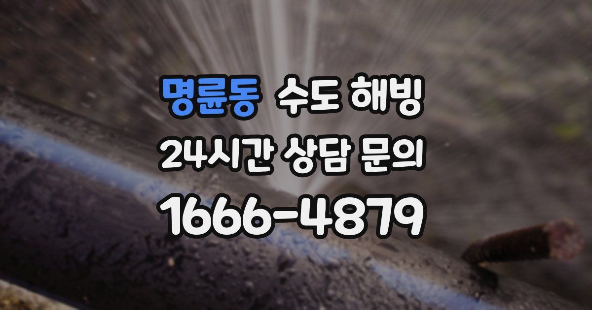 명륜동 수도 해빙