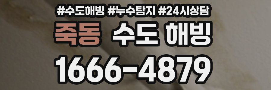 죽동 수도 해빙