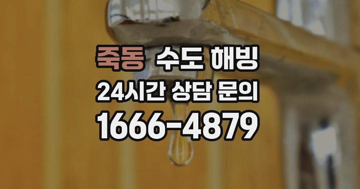 죽동 수도 해빙