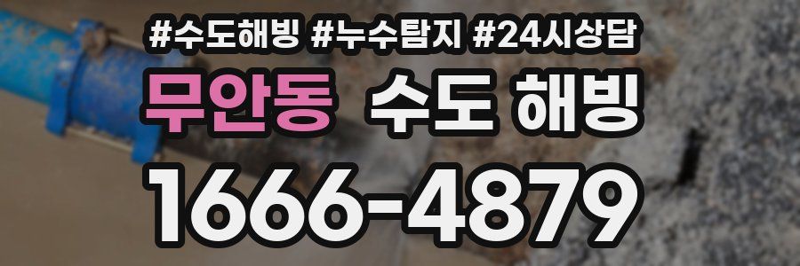 무안동 수도 해빙
