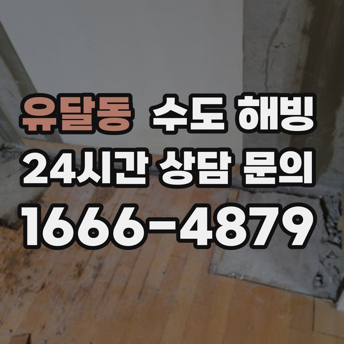 유달동 수도 해빙