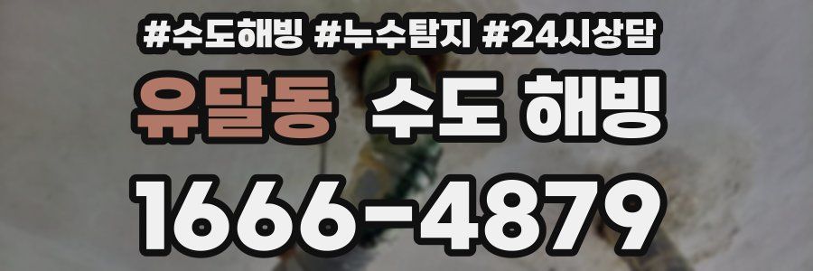 유달동 수도 해빙