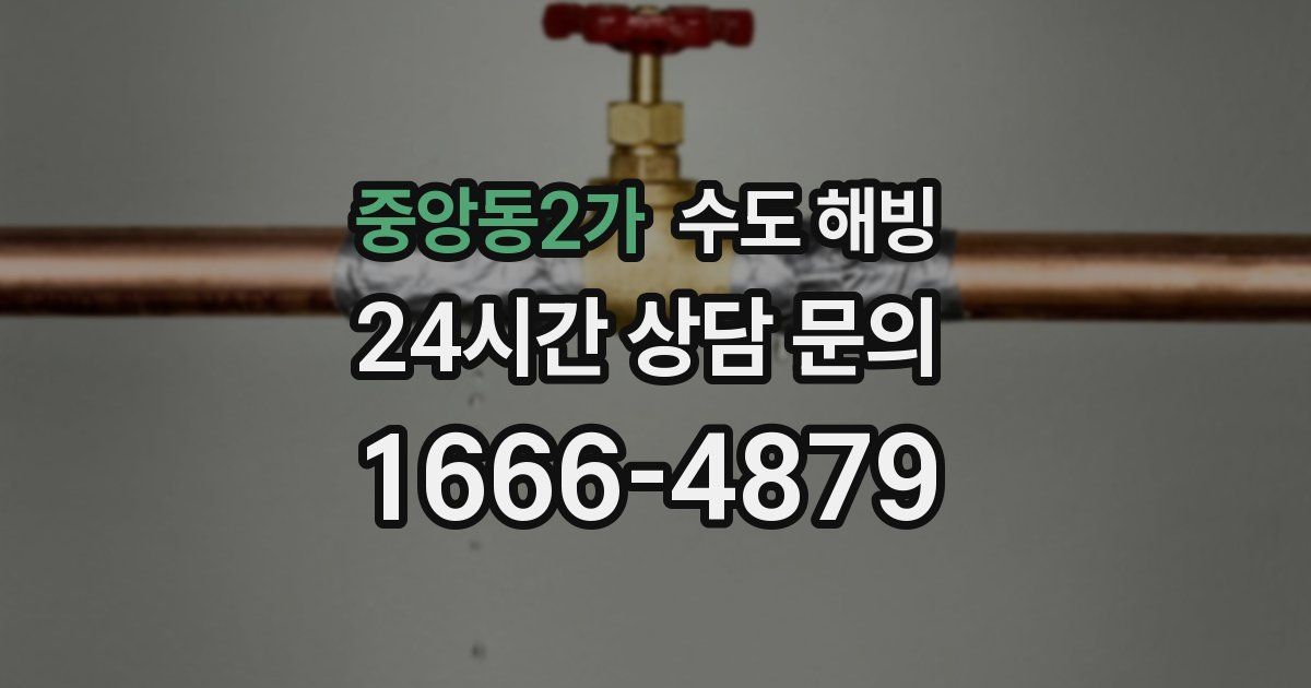 중앙동2가 수도 해빙