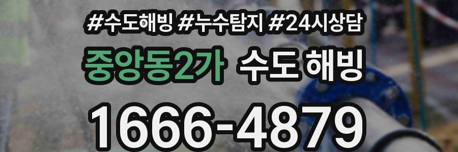 중앙동2가 수도 해빙