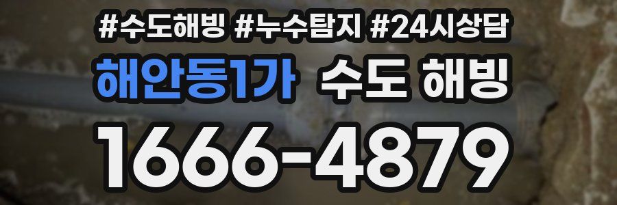 해안동1가 수도 해빙