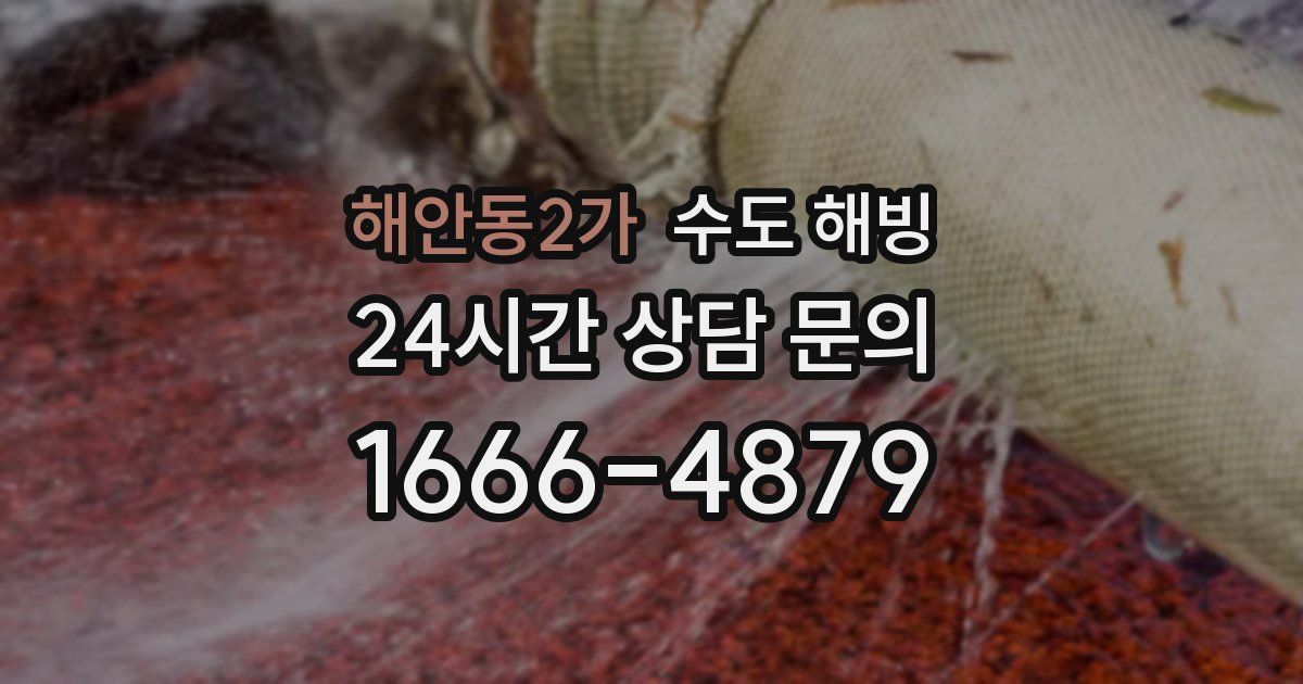 해안동2가 수도 해빙