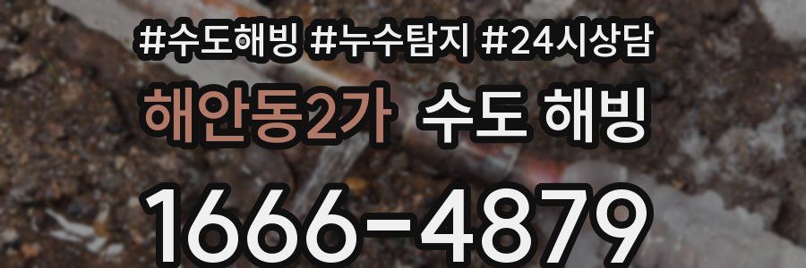 해안동2가 수도 해빙