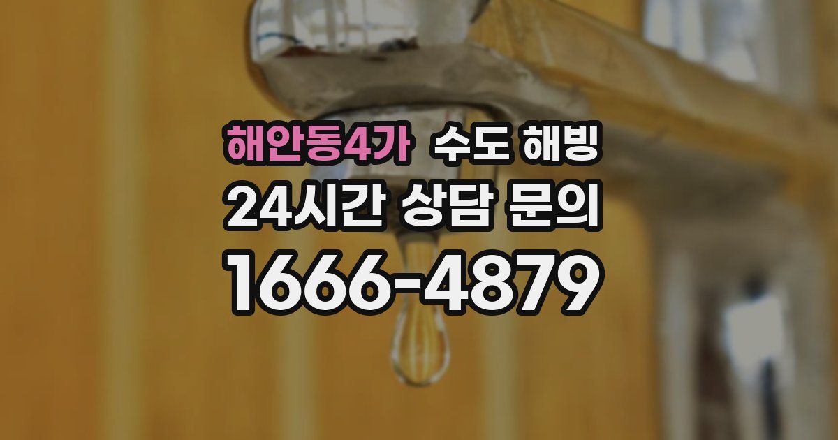 해안동4가 수도 해빙