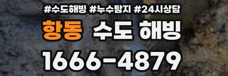 항동 수도 해빙