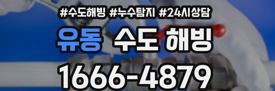 유동 수도 해빙