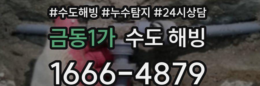 금동1가 수도 해빙