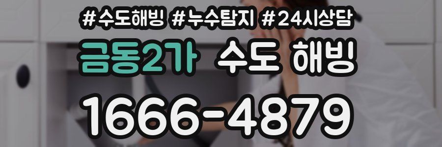 금동2가 수도 해빙