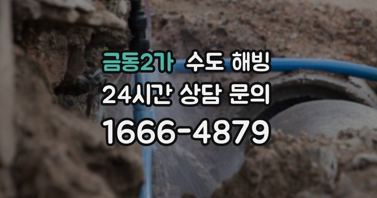 금동2가 수도 해빙