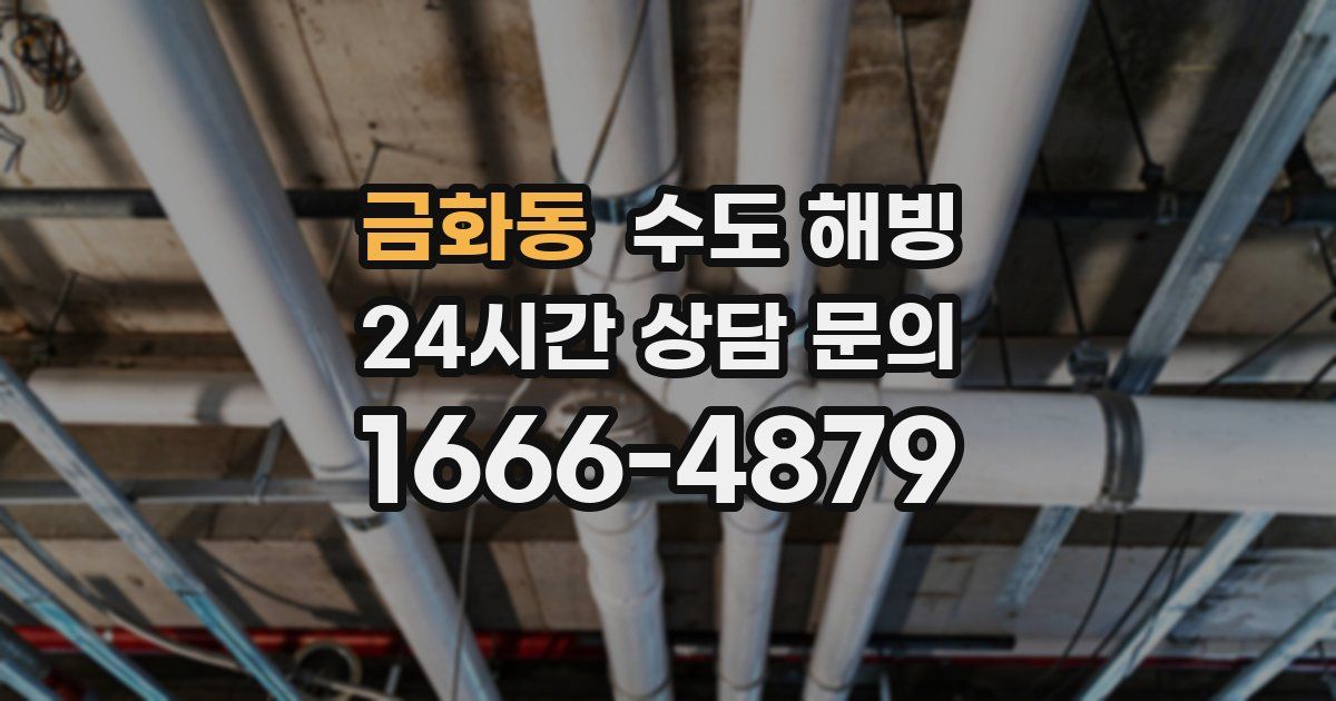 금화동 수도 해빙