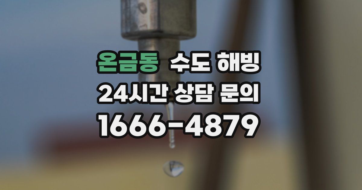 온금동 수도 해빙