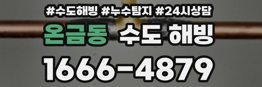 온금동 수도 해빙