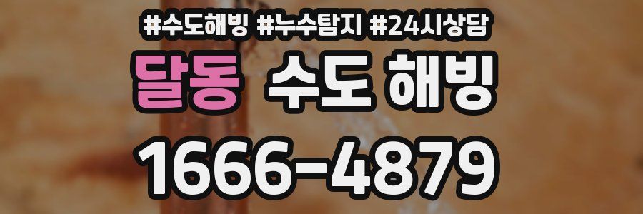 달동 수도 해빙