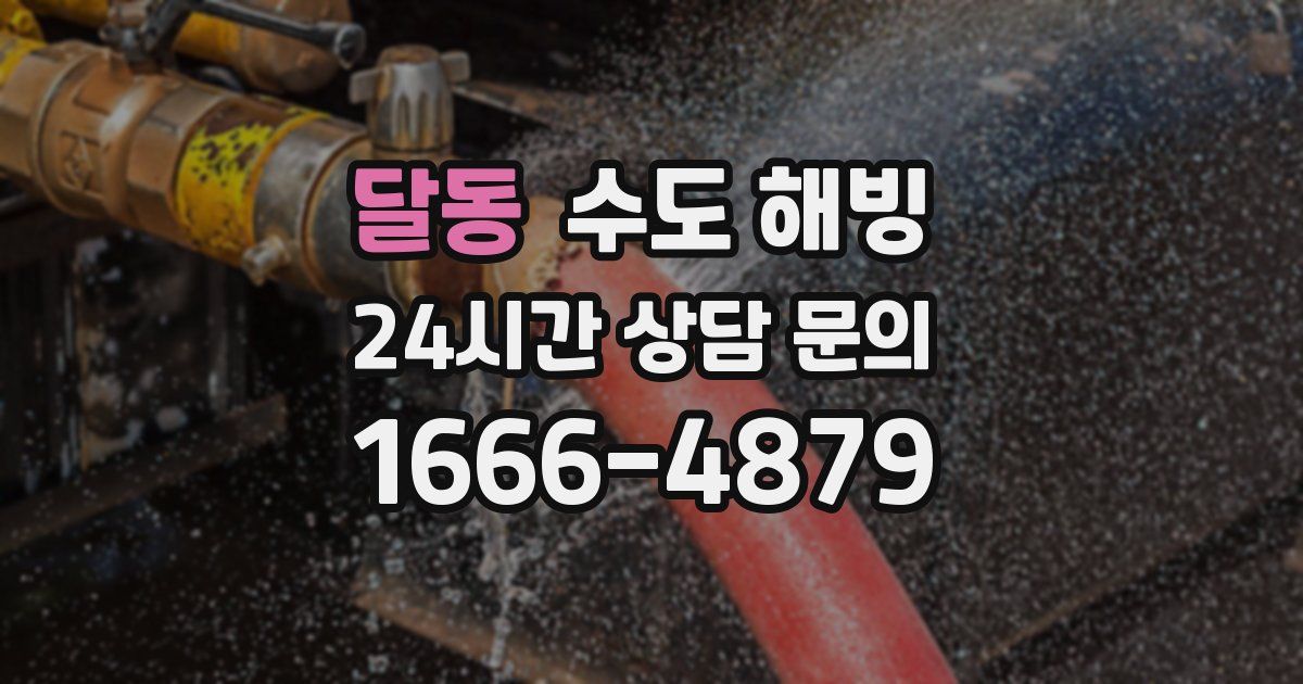 달동 수도 해빙