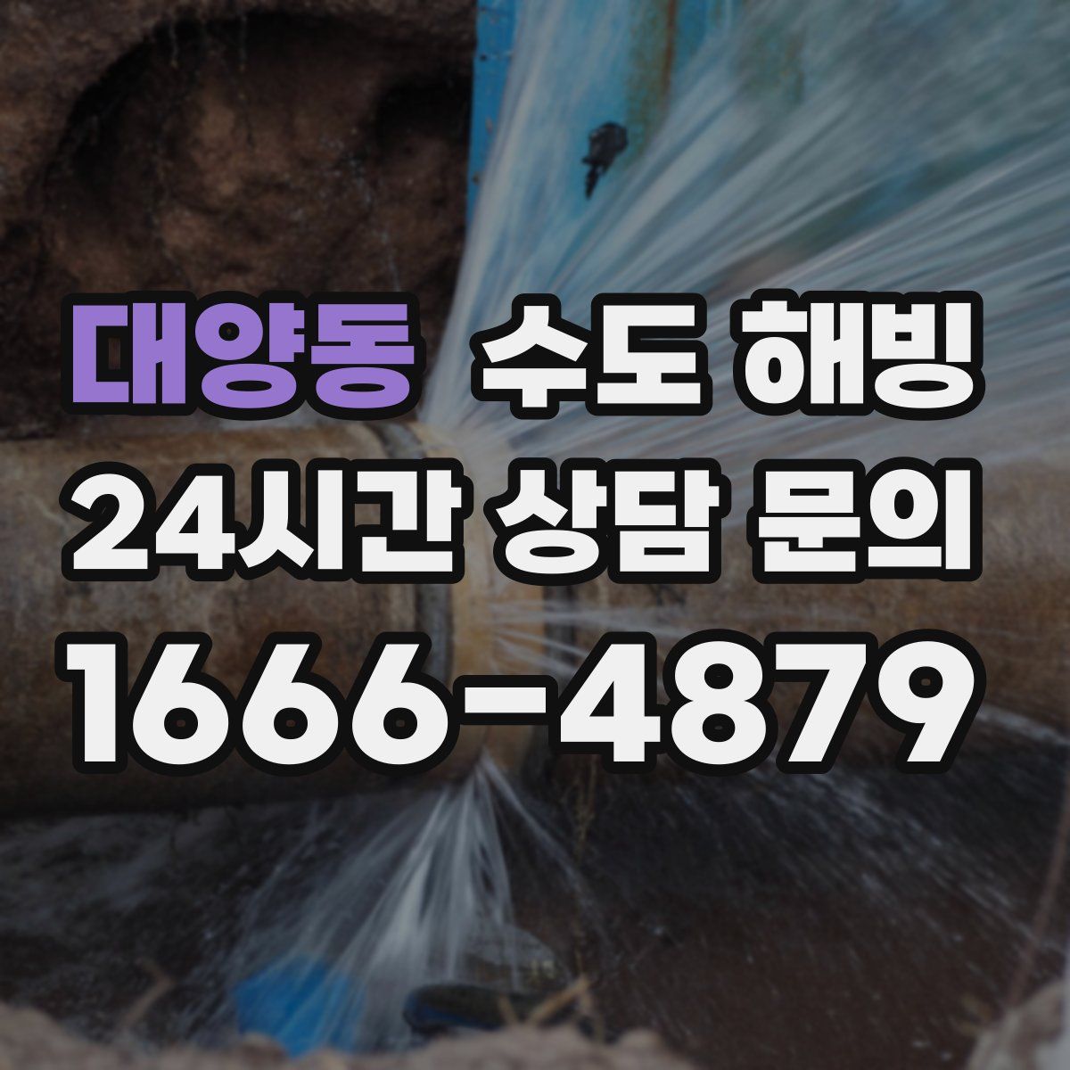 대양동 수도 해빙