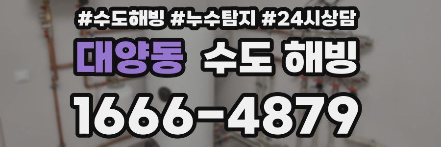 대양동 수도 해빙