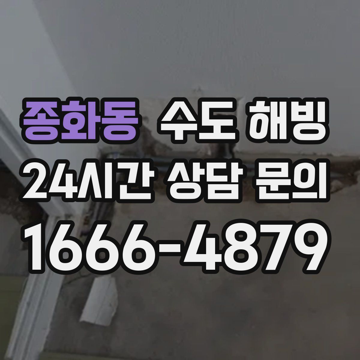 종화동 수도 해빙