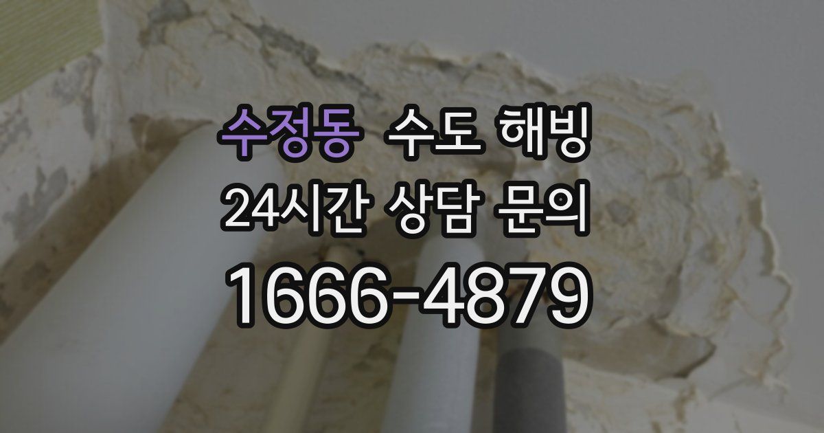 수정동 수도 해빙