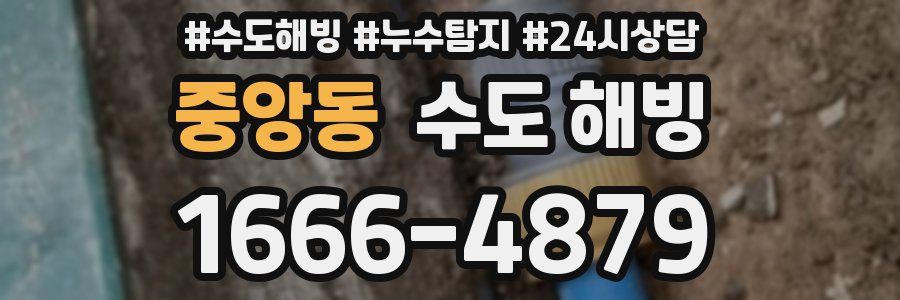 중앙동 수도 해빙