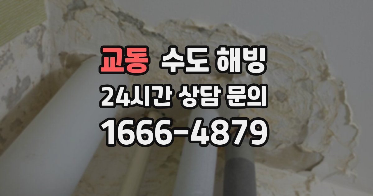 교동 수도 해빙