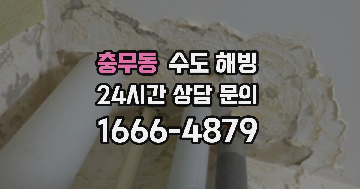 충무동 수도 해빙