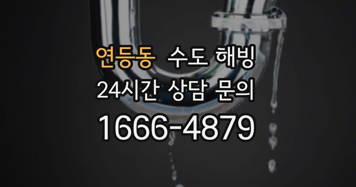 연등동 수도 해빙