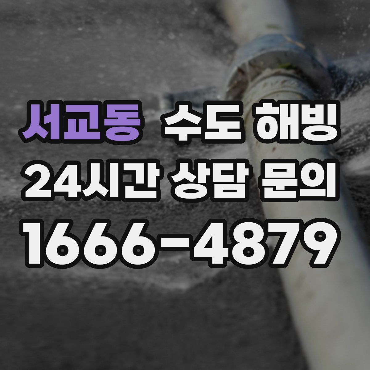 서교동 수도 해빙