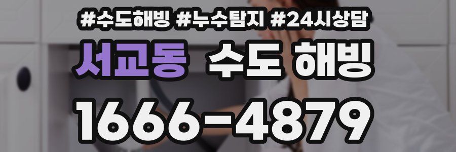 서교동 수도 해빙