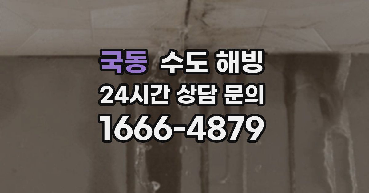 국동 수도 해빙