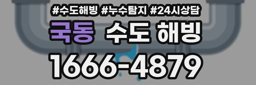 국동 수도 해빙