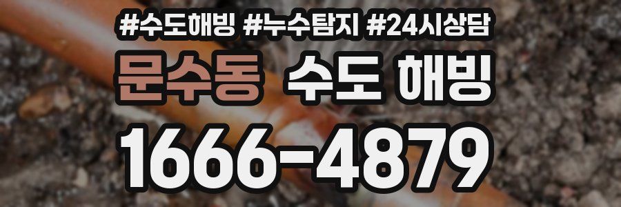 문수동 수도 해빙