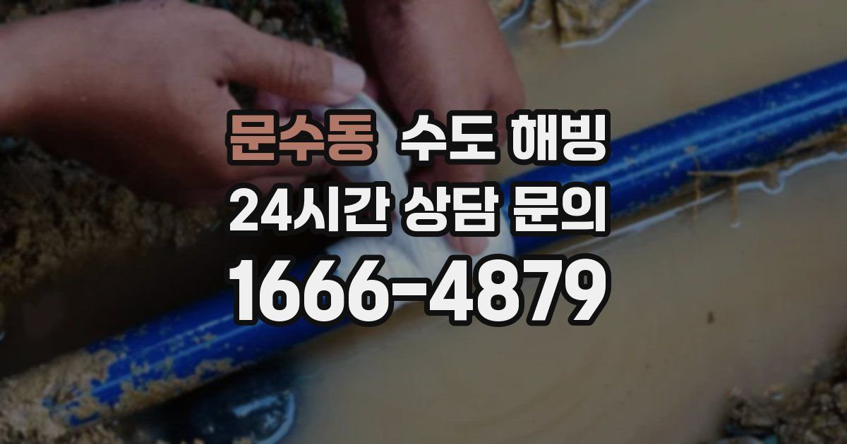 문수동 수도 해빙