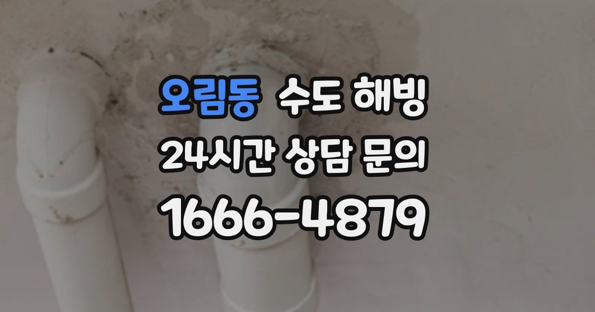 오림동 수도 해빙