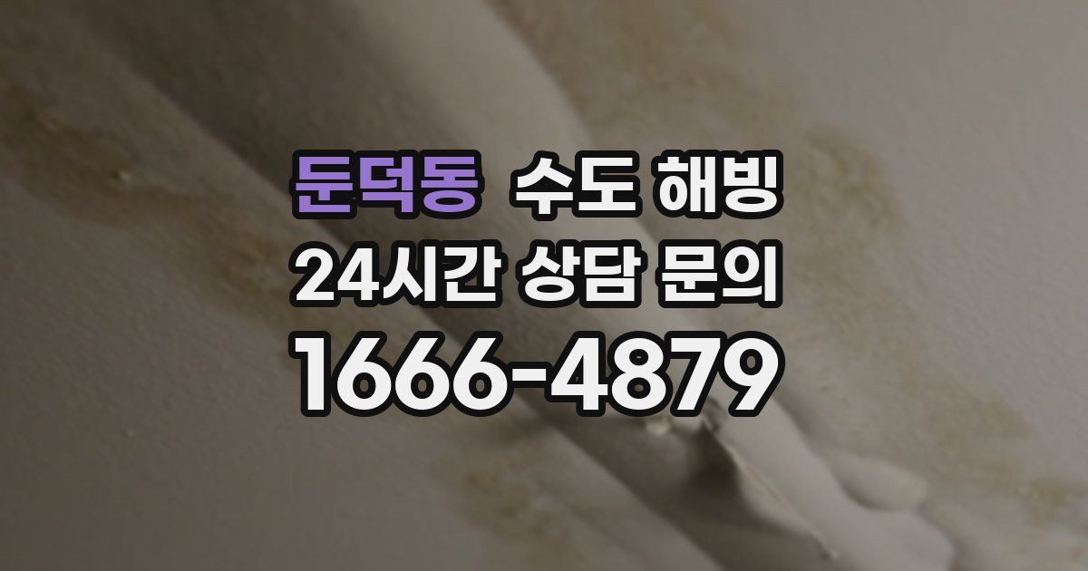 둔덕동 수도 해빙