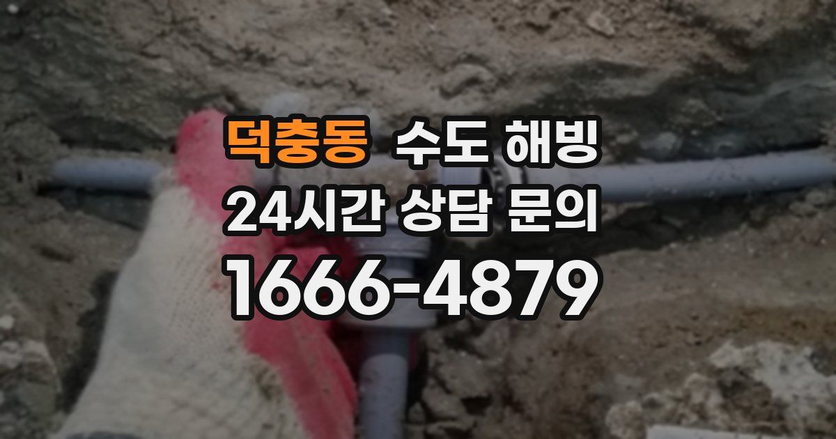 덕충동 수도 해빙